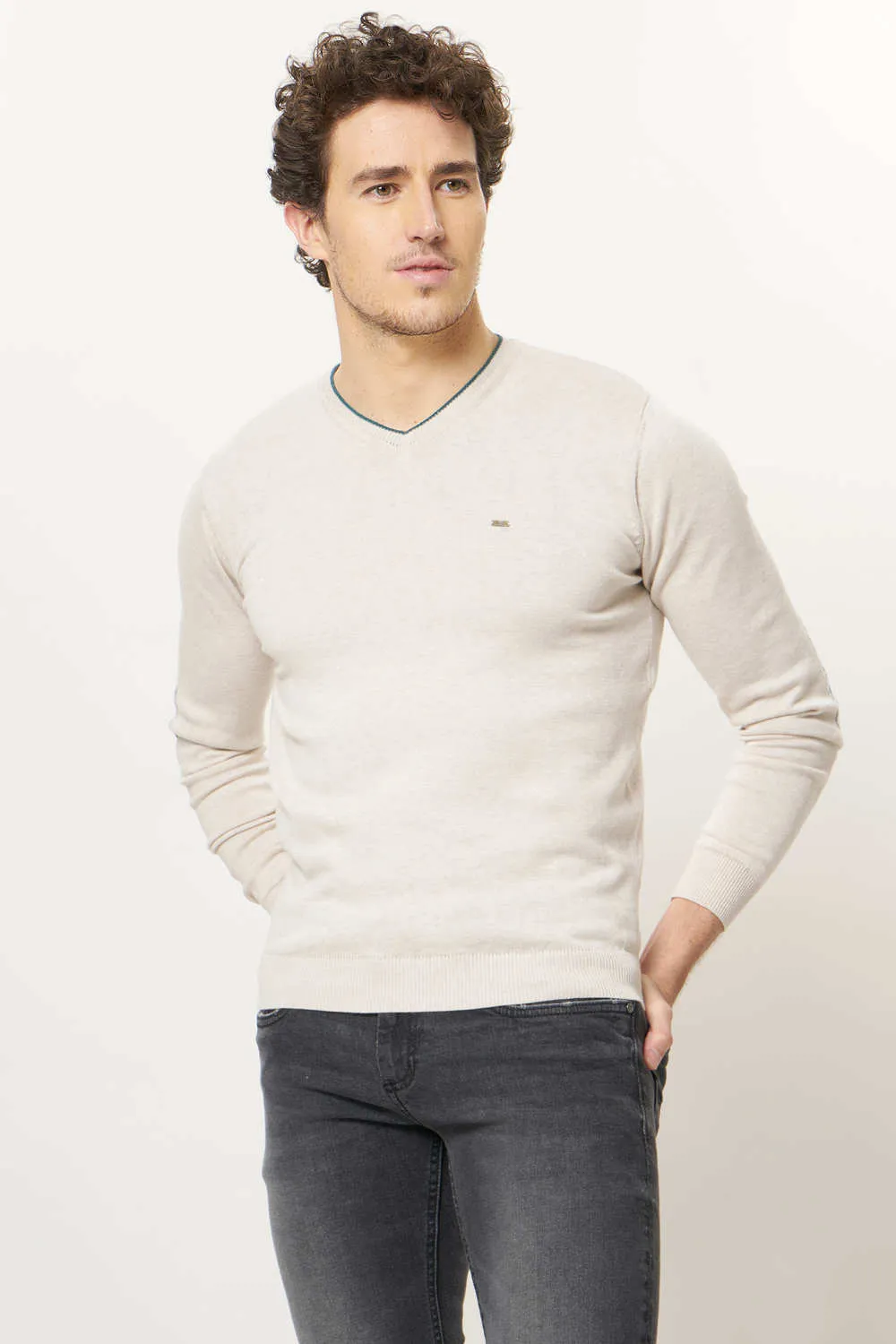 Muscle Fit V Neck Sweater