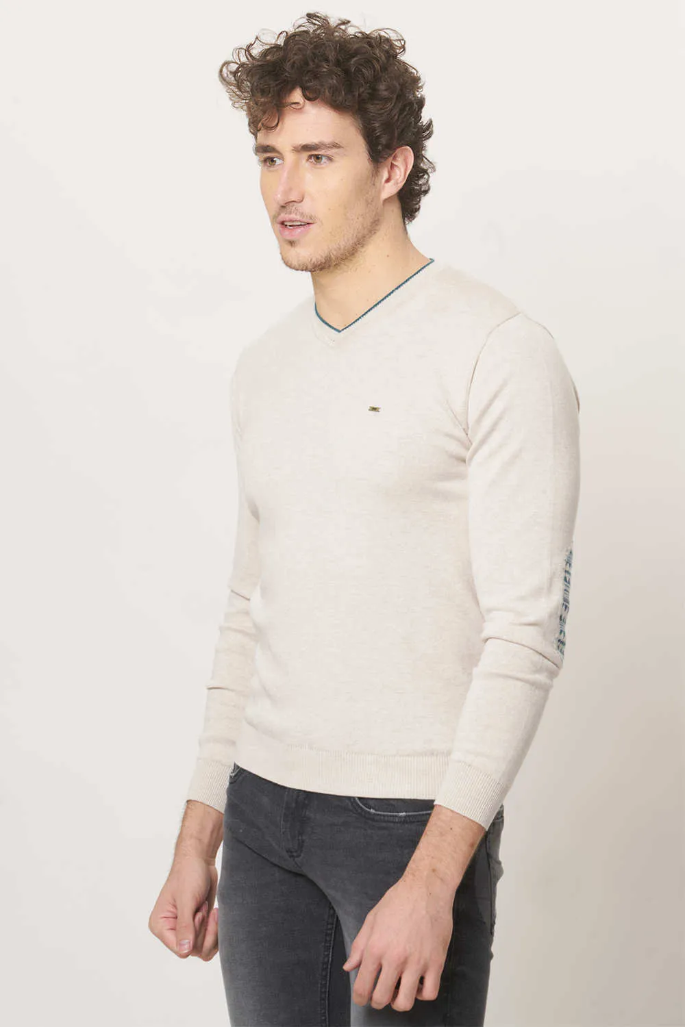 Muscle Fit V Neck Sweater